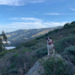 Meet your Posher, Virginia